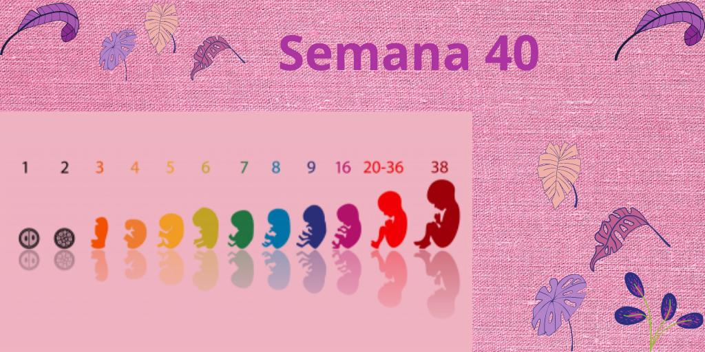 semana 40 del embarazo